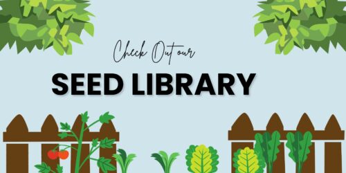 Come check out our seed library. An image with a garden.