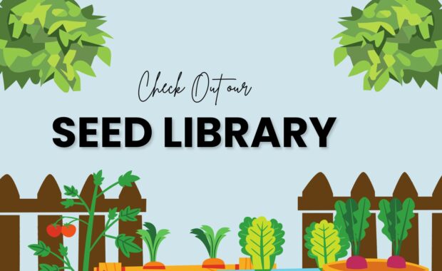 Come check out our seed library. An image with a garden.